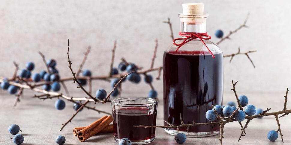 sloe_gin_jelentese_hazi_ginkeszites